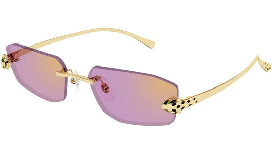 Cartier CT0474S-006 56