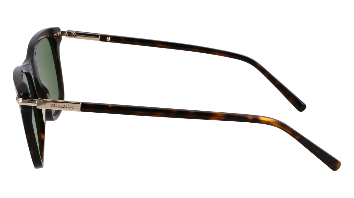 Salvatore Ferragamo SF2028S-242-5420 54mm New Sunglasses