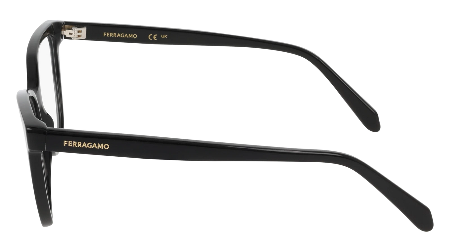 Salvatore Ferragamo SF3062-001-5416 54mm