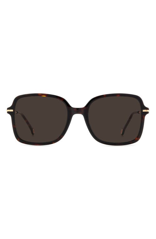 Carolina Herrera CH0101S-086-55  New Sunglasses