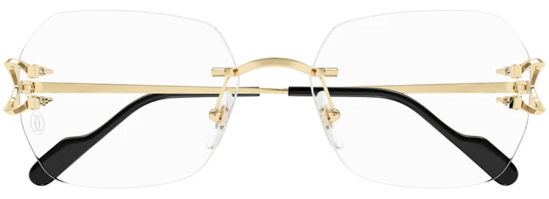 Cartier CT0416o-001 57mm