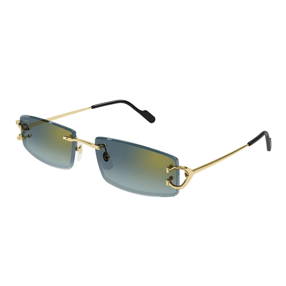 Cartier CT0465S-003 56