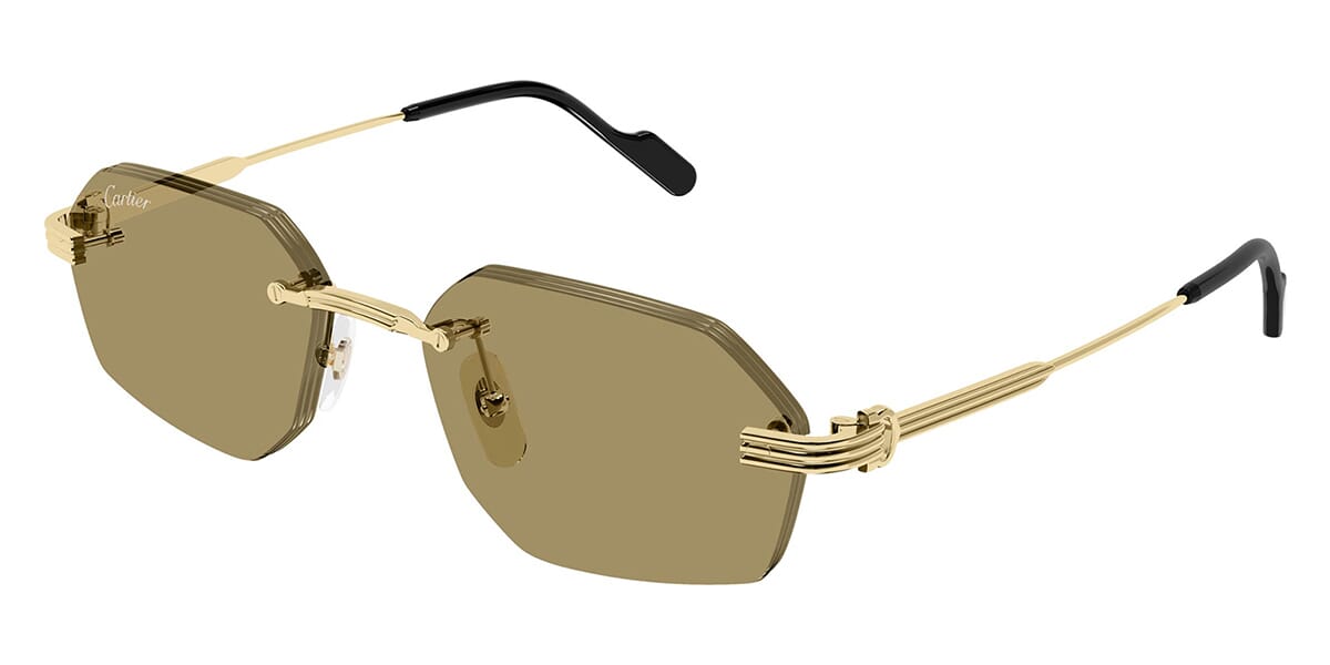 Cartier CT0616S-002 54mm