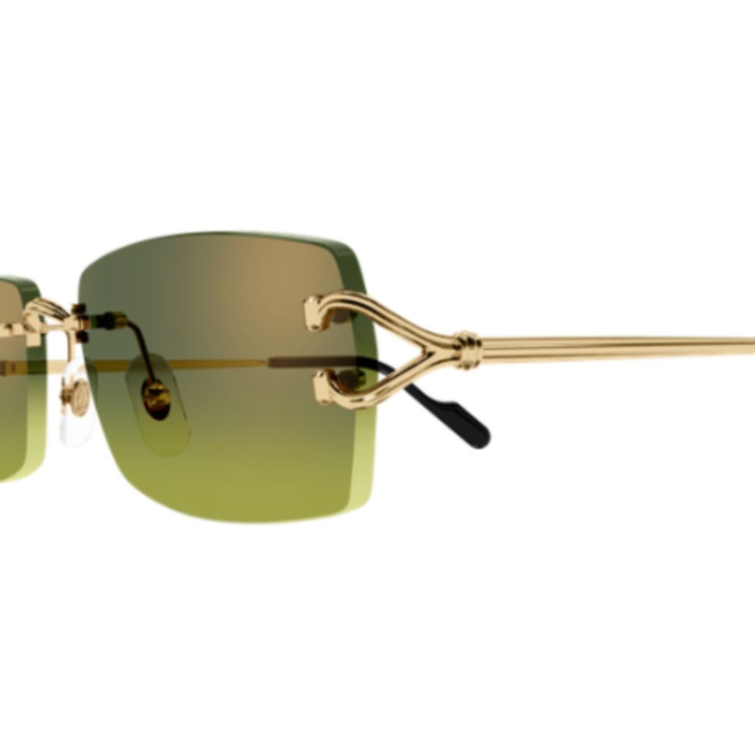 Cartier CT0550S-006 56mm New Sunglasses