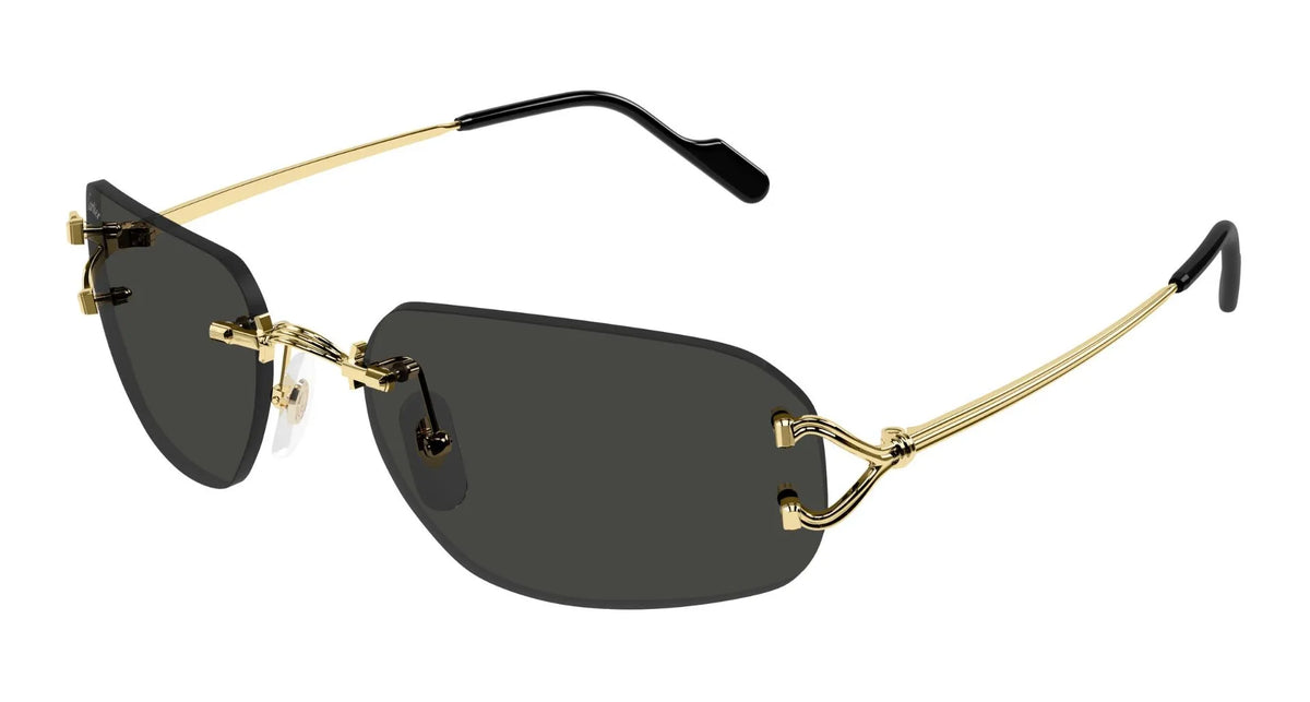 Cartier CT0663S-001 Gold Rectangular Sunglasses 58mm Sunglasses