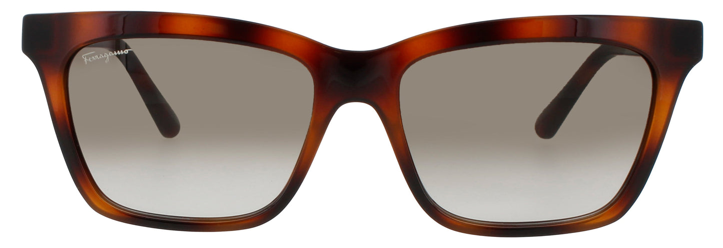 Salvatore Ferragamo SF1027S-214 55mm