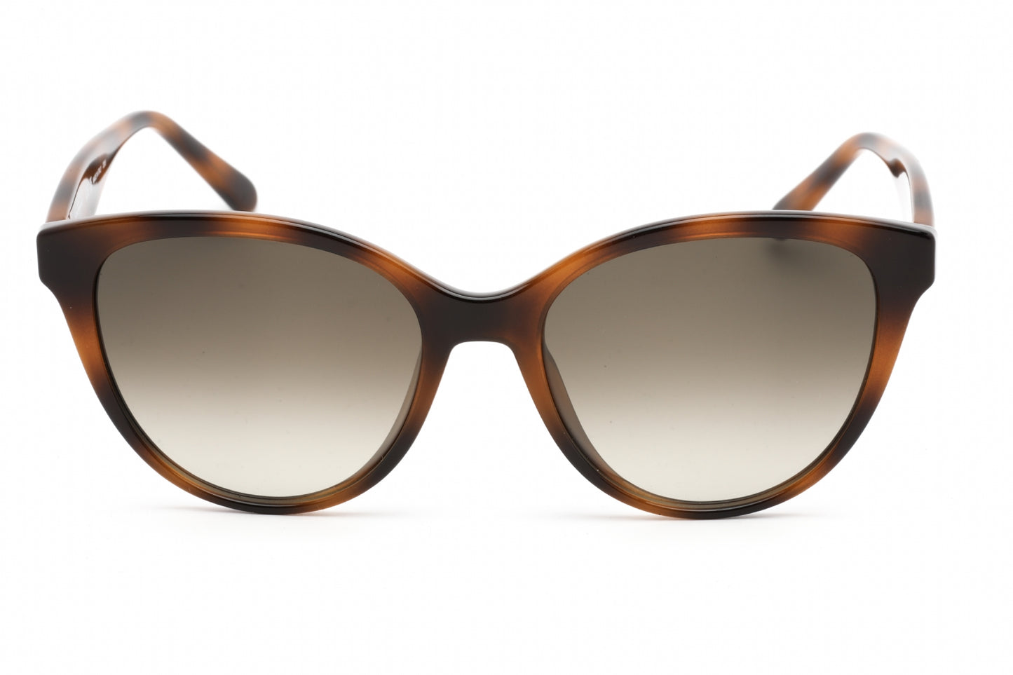 Salvatore Ferragamo SF1073S-240 54mm New Sunglasses