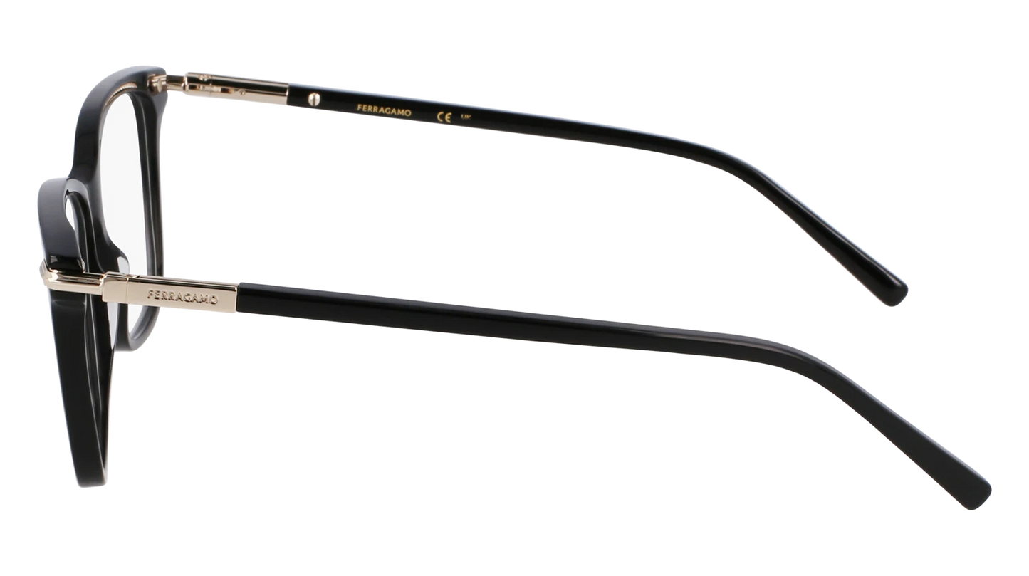 Salvatore Ferragamo SF3013-001-5315 53mm
