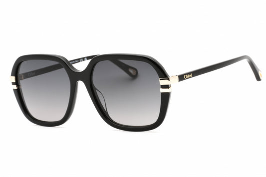 Chloe CH0204S-001 57mm New Sunglasses