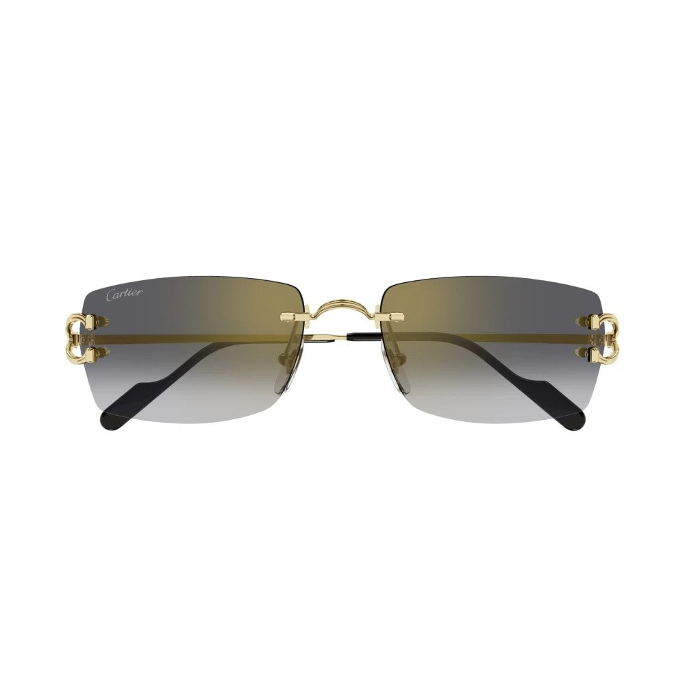 Cartier CT0550S-001 56mm