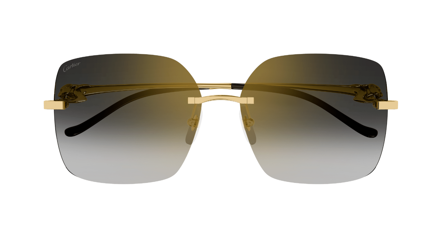 Cartier CT0359S-001 60mm