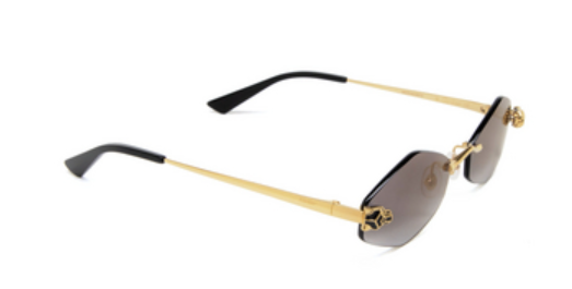 Cartier CT0433S-006 55mm