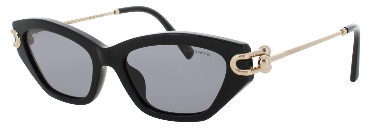 Tiffany & Co TF4231U-800181 53
