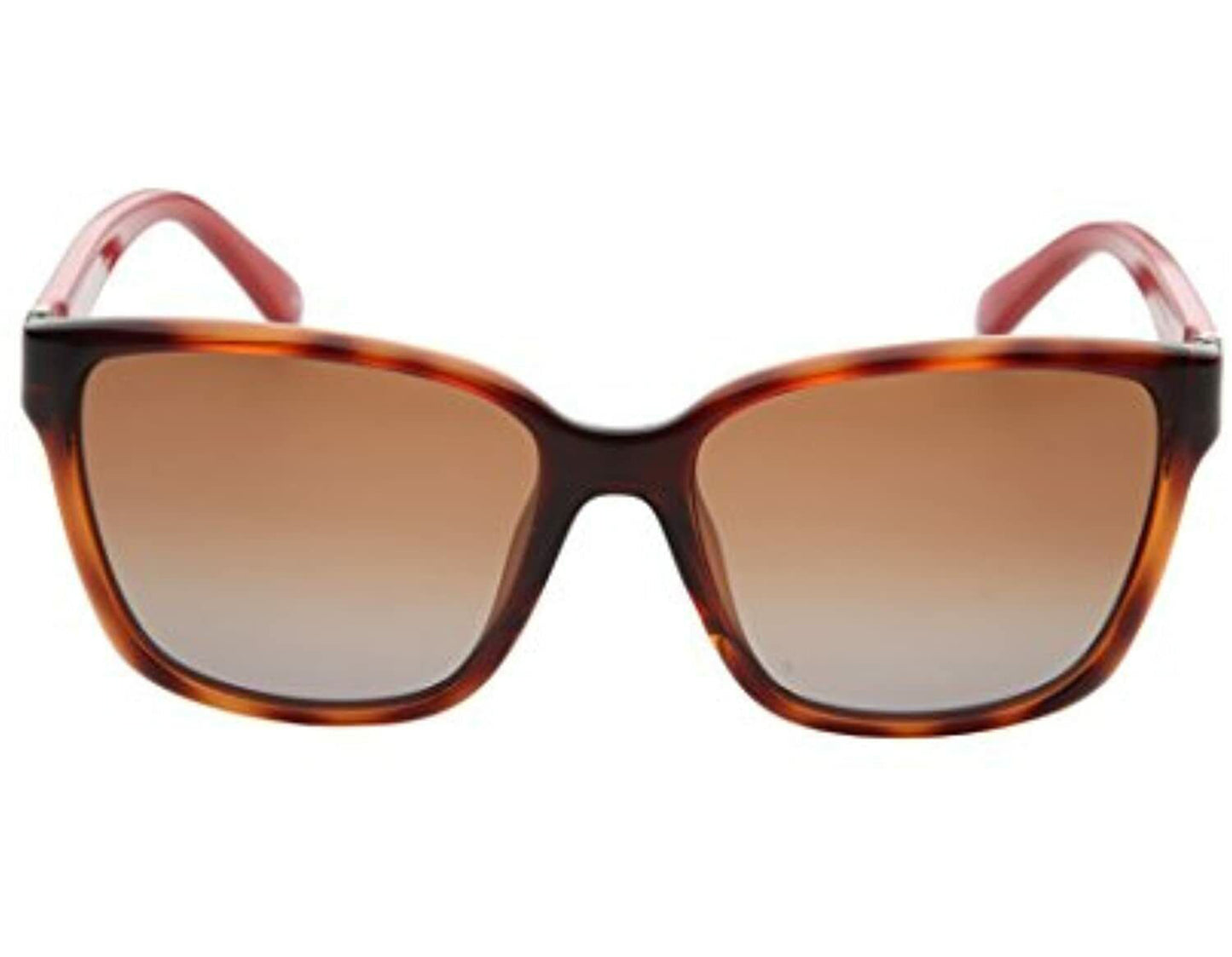 Salvatore Ferragamo SF716S-207-58 58mm New Sunglasses