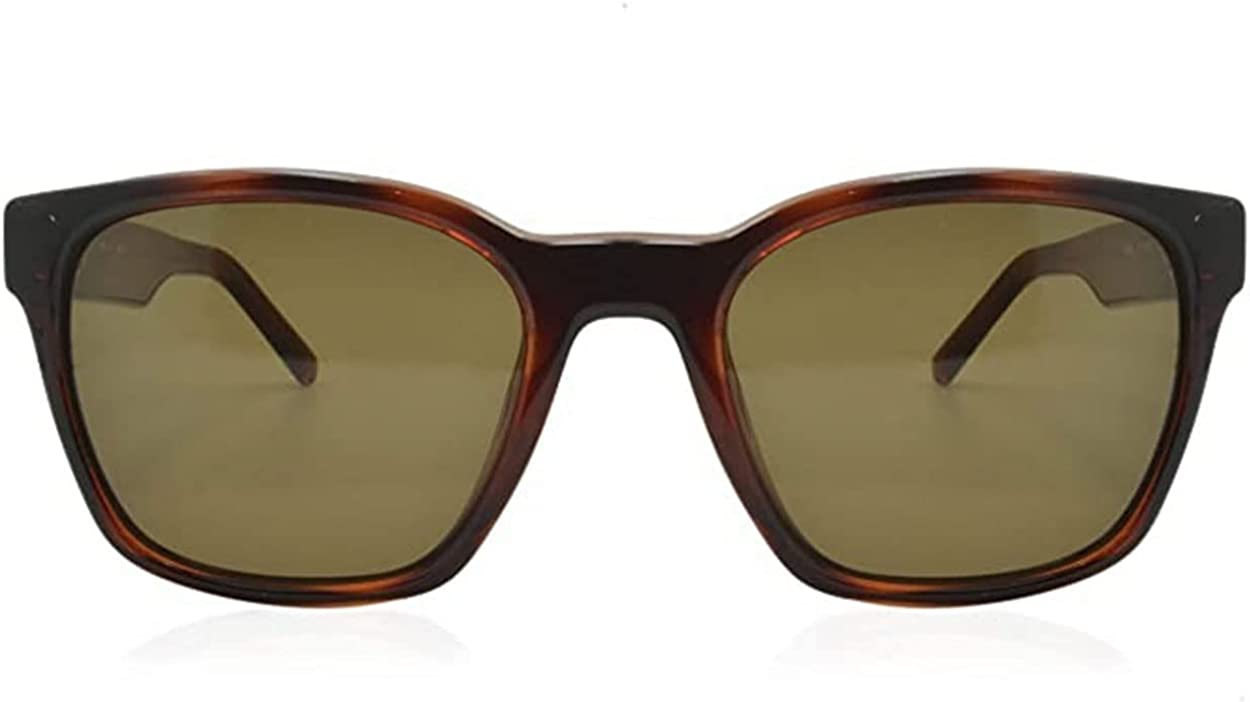 Salvatore Ferragamo SF959S-214-55 55mm New Sunglasses