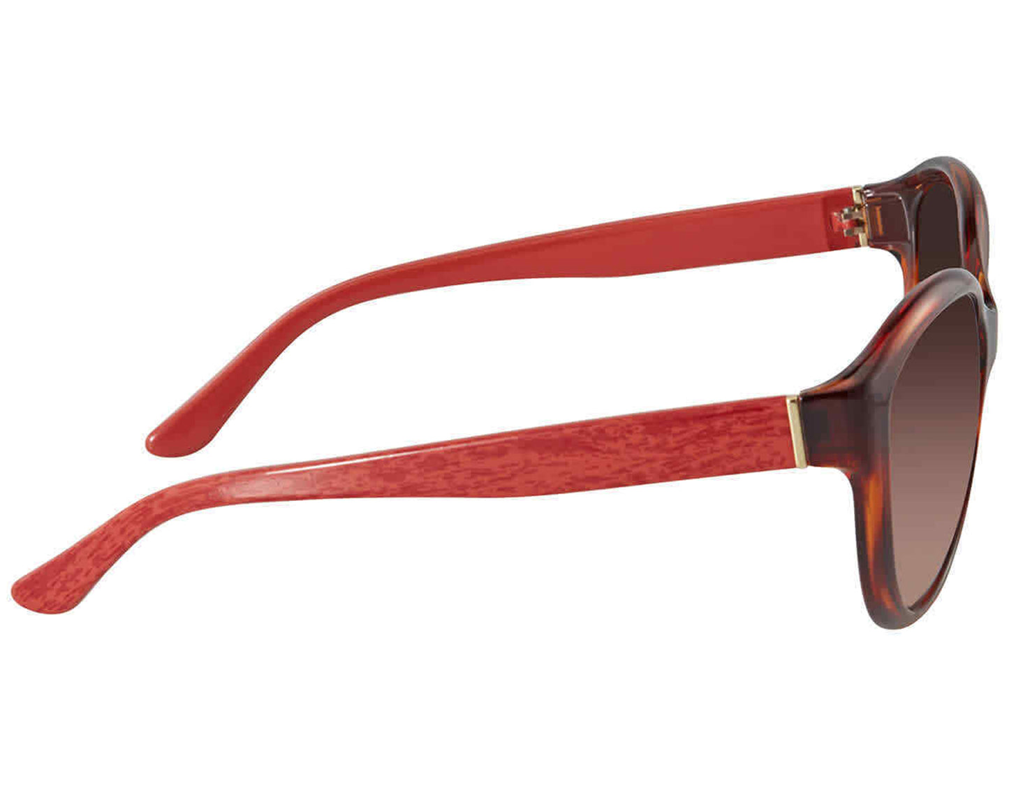 Salvatore Ferragamo SF717S-207-58 58mm New Sunglasses