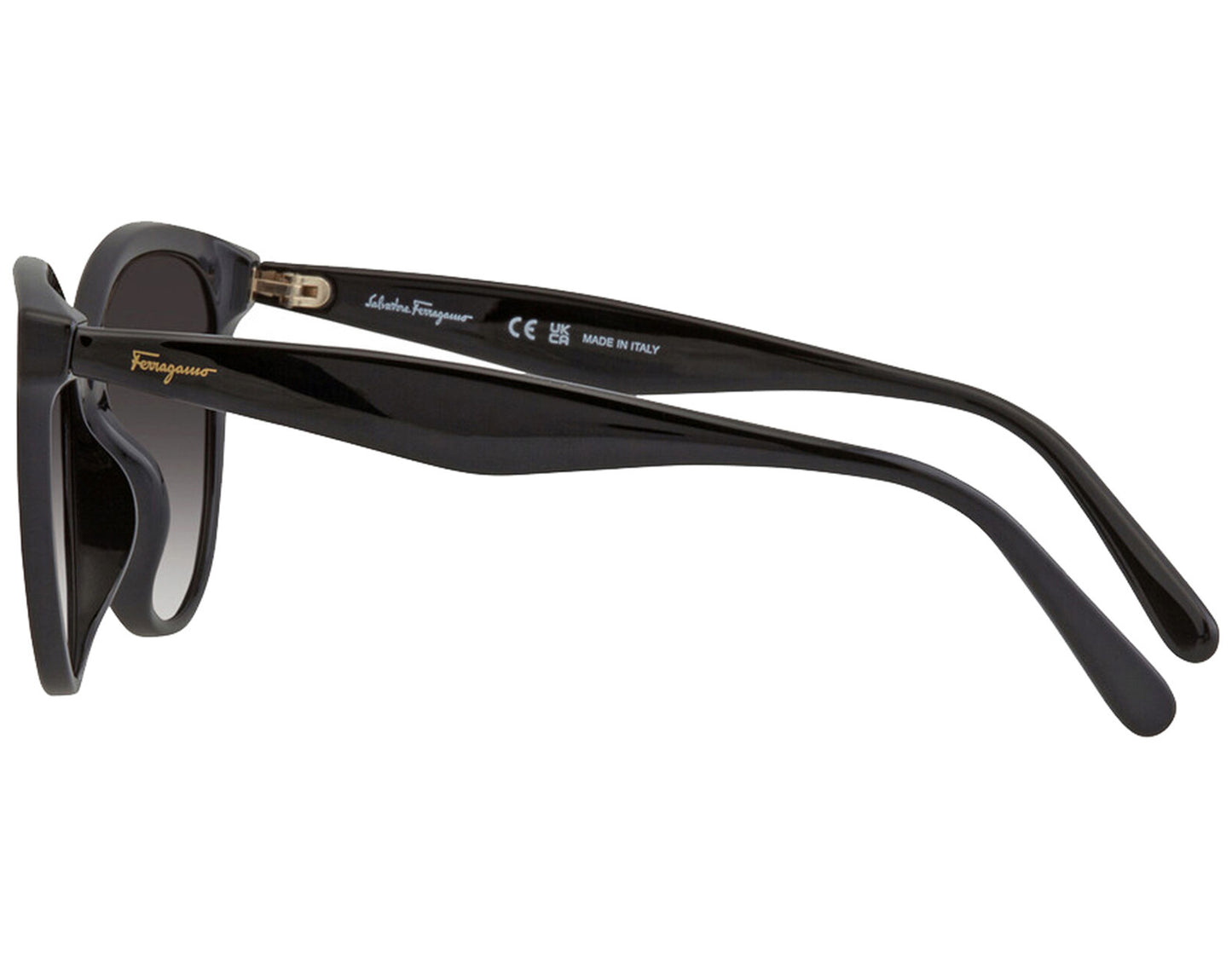 Salvatore Ferragamo SF1073S-001-5417 54mm New Sunglasses