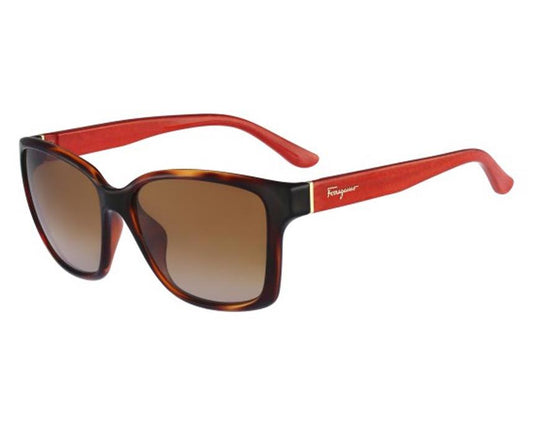 Salvatore Ferragamo SF716S-207-58 58mm New Sunglasses