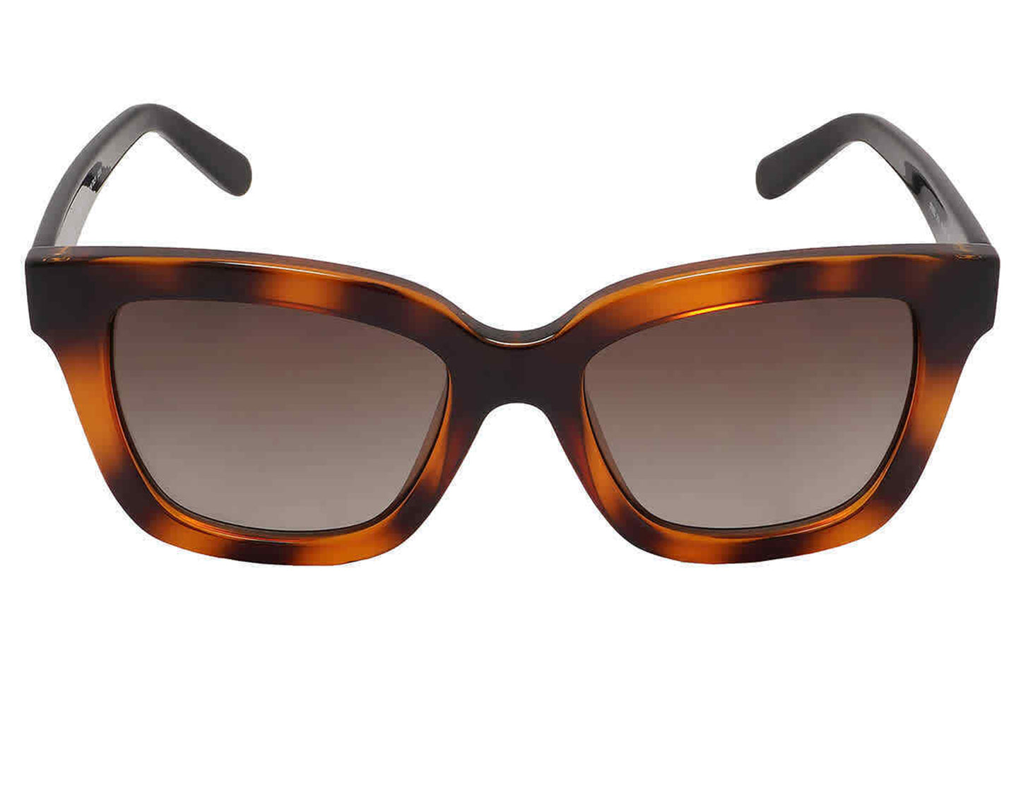 Salvatore Ferragamo SF955S-214-5319 53mm New Sunglasses